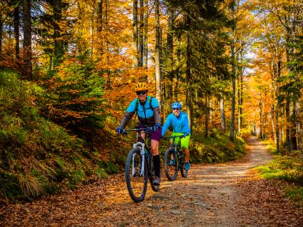 Sport- und Bewegungstherapie bei Tumorerkrankungen, Aktiv gegen Krebs